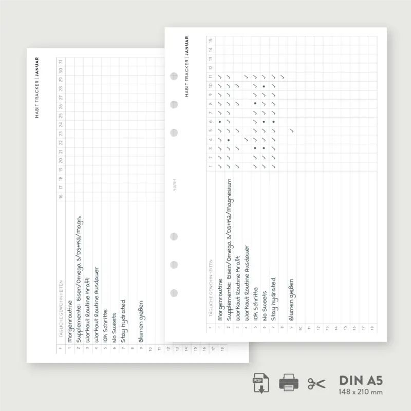 Alternative view of Ziel- und Fortschrittstracker monatlich - PDF